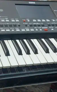 ارگ pa600