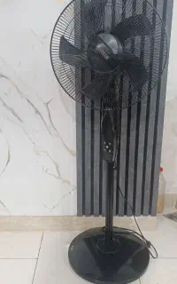 پنکه