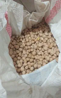 نخود زود پز کرمانشاهی اصل امساله
