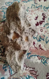 سنگ