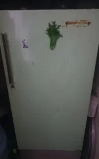 یخچال کاملا سالم. با موتور جنرال الکتریک آمریکا