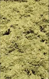 علف خورد شده