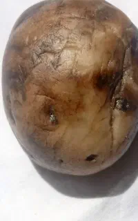 سنگ مرهم. پادزهر. شفا یا درمان