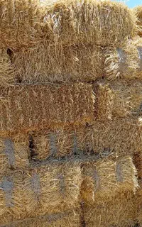 فروش کاه گندم درجه یک