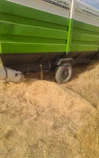 کاه کیش