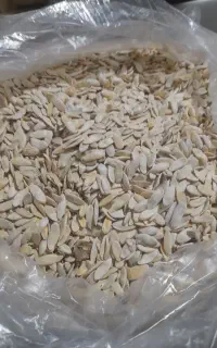 بذری خیار جمبری تاکستان اصل به شرط