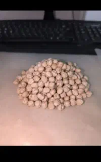 نخود بوجاری شده بذری