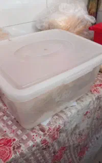 نیروی کار