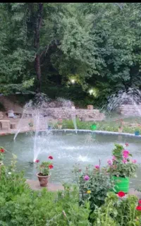 تور جلفا