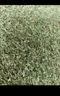 نعناخشک محلی