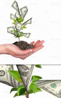 شراکت وسرمایه گذار