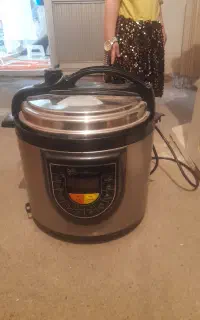 زود پز برقی