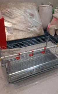 قفس بزرگ