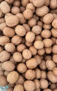 گردو خارجی با کیفیت