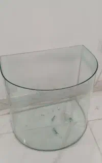 اکواریوم منحنی