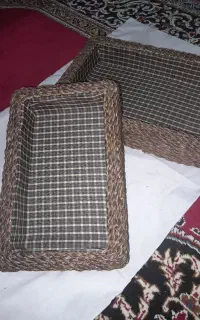 سبد نون
