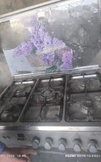 فرگاز
