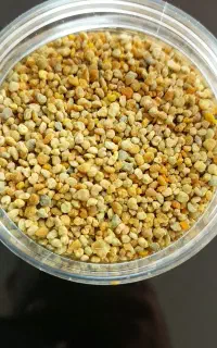 گرده گل (بمب هسته ای )