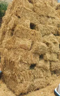 یونجه خالص