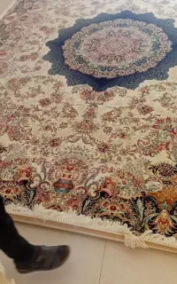 فرش ۱۲۰۰ شانه مشهد ۱۲ متری