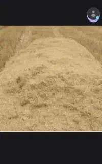 ۲۹ باک کاه