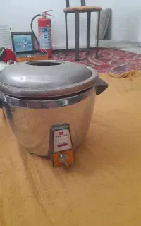 پلوپز توشیبا