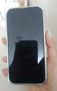 iphone 14 normal