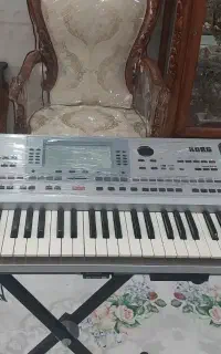 ارگpa50