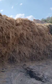 150 خلور