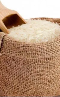 فروش برنج ایرانی در انواع مختلف بصورت عمده خوش پخت