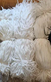 بند کفش