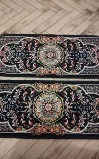 دوعدد پادری سالم ونو