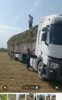 فروشنده یونجه وعلوفه وغیره باقیمت خیلی پایین