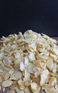 سیر خشک همدان