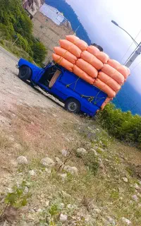 کاه کوبیده خالص گندم