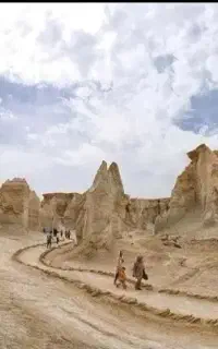قشم گردی