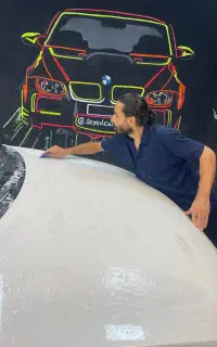 کاور بدنه/رنگی و بادی فنس