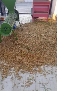 پوست کنی بادام رایگان درخدمت کشاورزان عزیز
