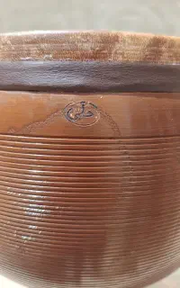 تمبک حلمی زبان گنجشک
