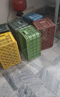 8عدد سبد گوجه
