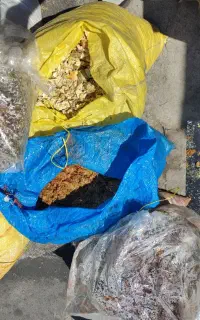 مناسب گاوداری و آسیاب و دامداری تفاله غوره لیمو