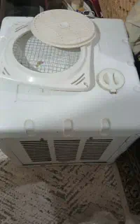 کولرابی