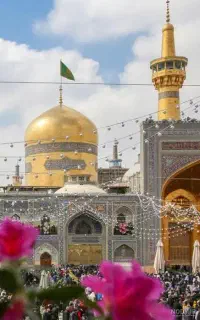تور اقتصادی مشهد