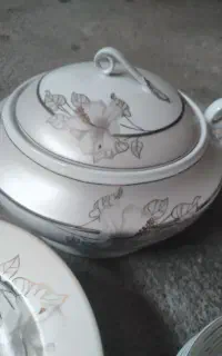 ظروف چینی زرین