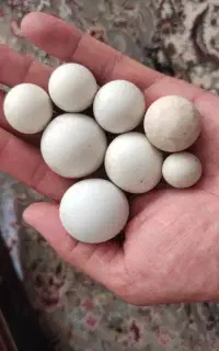 سنگ لونسدالیت(الماس آسیاب)