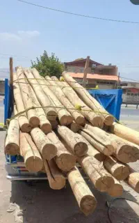 خرید چوب خشک سقفی به بالاترین قیمت بازار