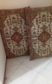 پشتی در حدنو
