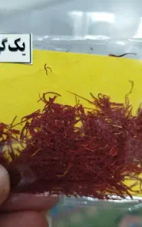 زعفران مستقیم از کشاورز