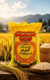 نمایندگی پخش برنج کبیری در نیشابور