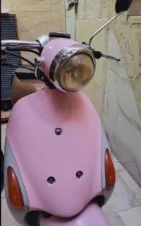 پاکشتی ژاپنی